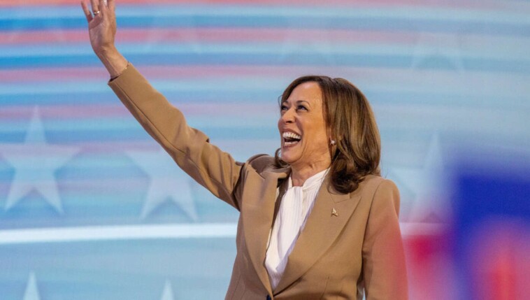 what’s-next?-here-are-10-great-career-options-for-kamala-to-consider