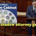 dem-congressman-openly-reveals-plot-to-form-shadow-government-—names-individuals-who-could-undermine-every-trump-cabinet-member-[video]