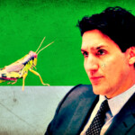 globalist-trudeau-went-all-in-with-feeding-insects-to-canadians-–-embattled-prime-minister-blew-$9-million-in-failed-edible-cricket-factory