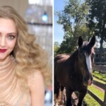 actress-amanda-seyfried-ditched-living-in-los-angeles-for-the-‘peace’-of-a-rural-farm