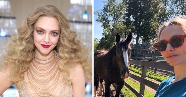 actress-amanda-seyfried-ditched-living-in-los-angeles-for-the-‘peace’-of-a-rural-farm