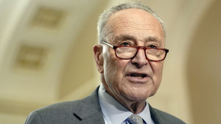 schumer-now-pleads-for-bi-partisanship-having-promised-to-railroad-democrat-agenda-through