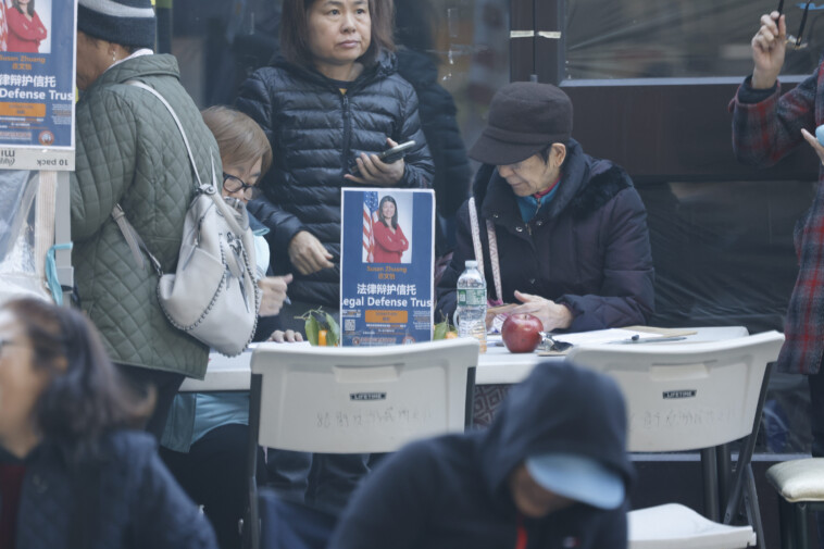 nyc-councilwoman-who-bit-cop-hits-sidewalk-to-raise-money-for-legal-defense