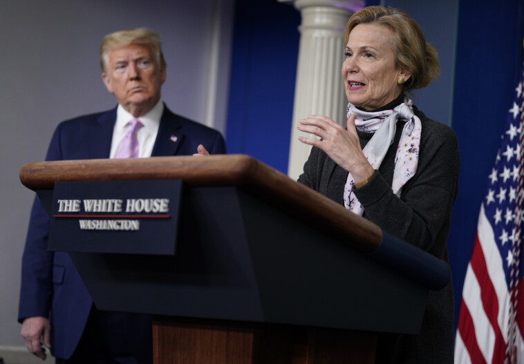 former-trump-wh-covid-doc-deborah-birx-‘excited’-for-questions-at-rfk-jr.-confirmation-hearing