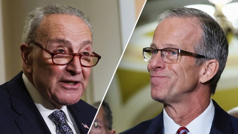 senate-gop-initiates-thune-engineered-slow-down-as-schumer-looks-to-stack-judicial-votes