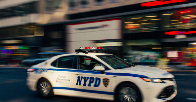 migrant-allegedly-toting-ar-15-arrested-in-new-york-city