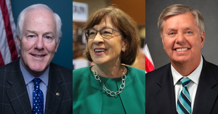 time-to-clean-senate:-the-rinos-must-go-—-here’s-the-list-of-senators-up-for-reelection-in-2026