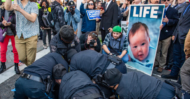 more-than-a-dozen-abortion-activists-arrested-at-men’s-pro-life-demonstration-in-boston:-‘extremely-riotous’