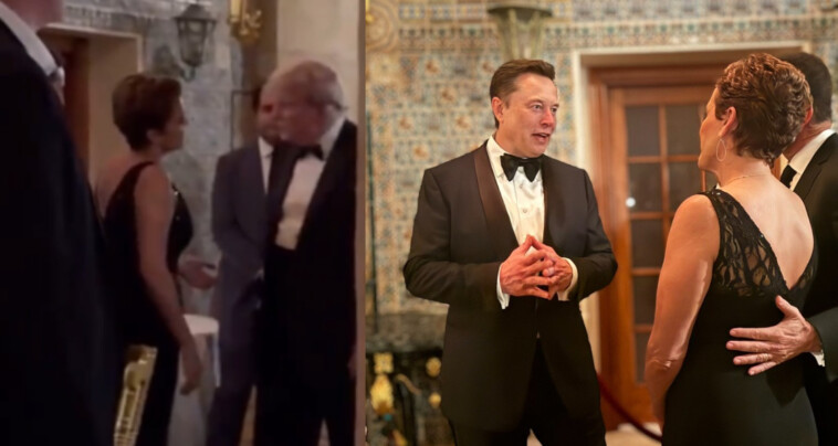 kari-lake-greeted-by-trump-and-elon-musk-at-mar-a-lago-–-is-there-a-role-for-her-in-the-administration?