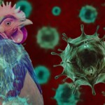 bird-flu-surges-in-several-us-states-with-reports-of-new-outbreaks:-‘getting-worse’