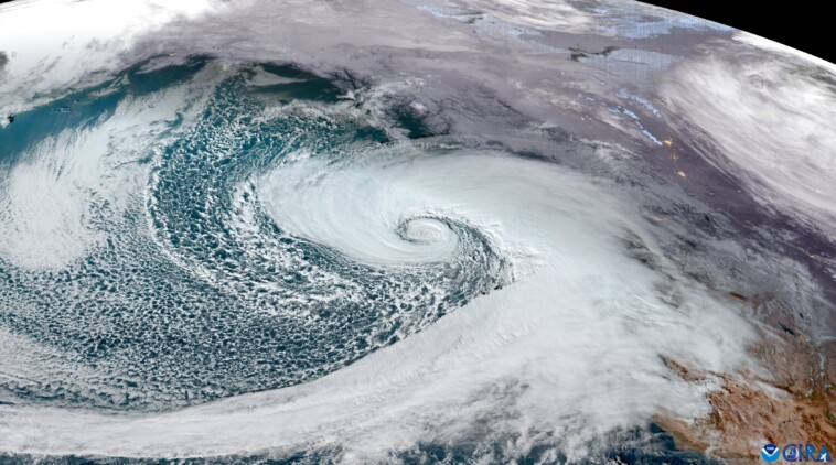 deadly-bomb-cyclone-slams-seattle-area-with-fierce-winds-leaving-over-700k-without-power