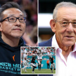 nets-owners-joe-tsai-and-oliver-weisberg-to-buy-stake-in-miami-dolphins:-report