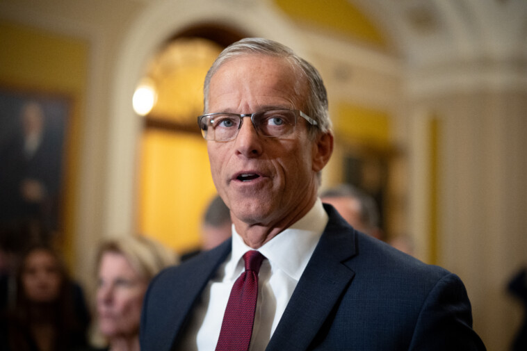 senate-majority-leader-elect-john-thune-blasts-democrats-for-lack-of-israel-support