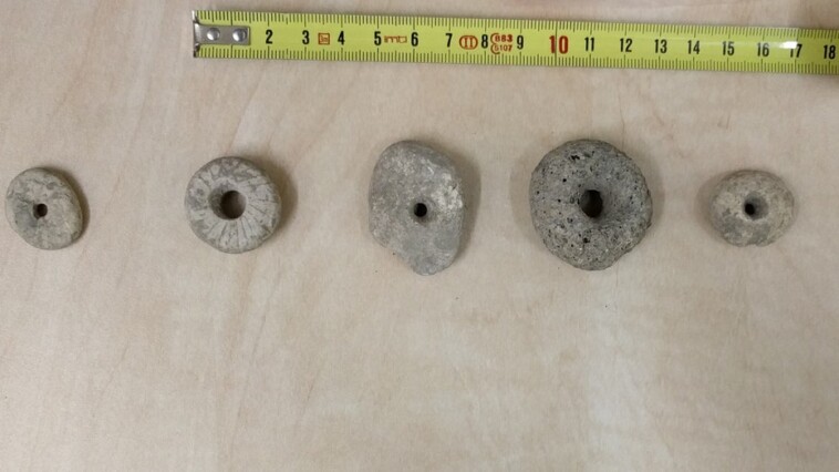 archaeologists-discover-12,000-year-old-pebbles-that-could-provide-new-insights-about-the-wheel