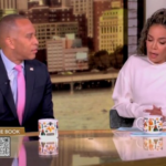 democratic-leader-jeffries-rebuffs-‘view’-co-host’s-suggestion-‘racism,’-‘misogyny,’-cost-harris-election