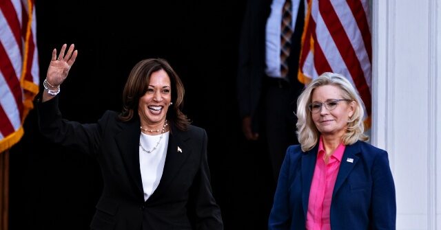 election-data:-liz-cheney-hurt-kamala-harris-with-swing-voters-in-rust-belt