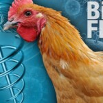 here-we-go:-cdc-confirms-first-ever-case-of-h5n1-bird-flu-in-a-child-in-the-us.