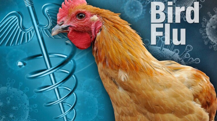 here-we-go:-cdc-confirms-first-ever-case-of-h5n1-bird-flu-in-a-child-in-the-us.