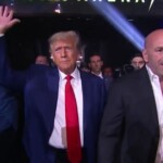 ufc-president-dana-white-makes-big-political-promise-post-trump-victory