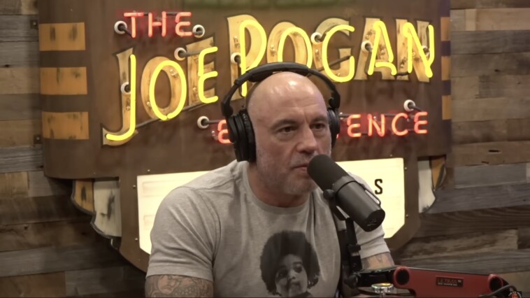 joe-rogan-accused-of-spreading-‘russian-propaganda’-by-ukrainian-boxer-wladimir-klitschko