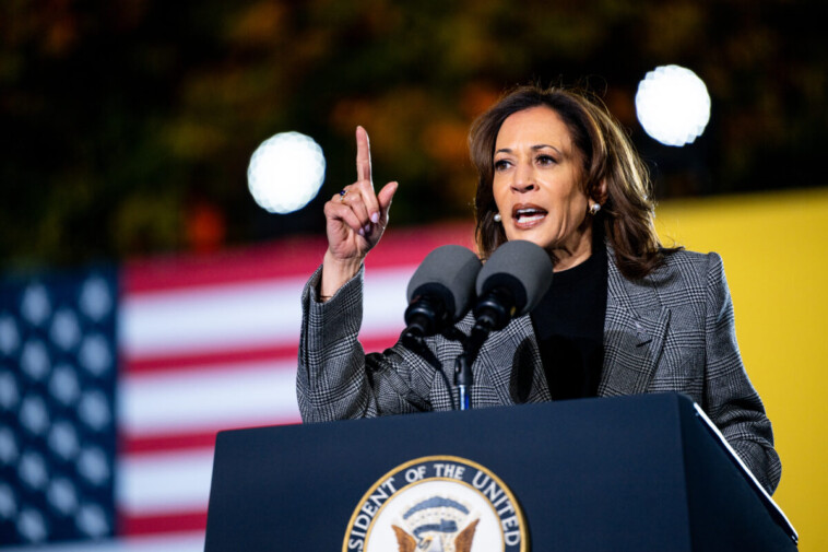 kamala-mulls-run-for-california-governor,-another-white-house-bid-after-2024-defeat:-report