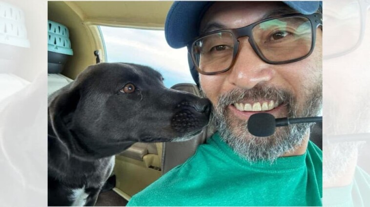 virginia-animal-rescue-pilot-killed-in-devastating-plane-crash-while-transporting-rescue-dogs