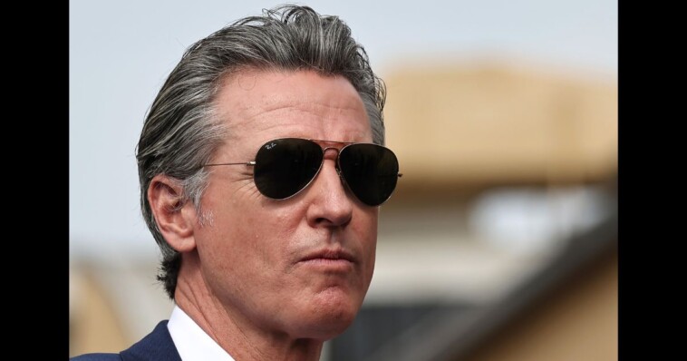 ‘foolish’-newsom-slammed-by-his-own-party-after-latest-elon-musk-snub