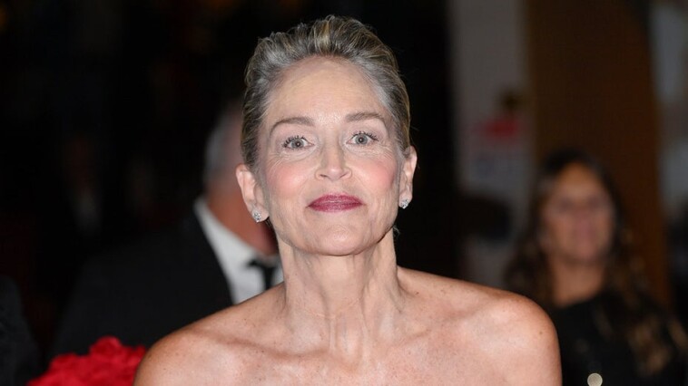 sharon-stone-chastises-‘ignorant,-arrogant’-americans-in-rant-against-fascism