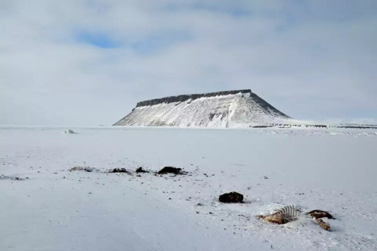 nasa-discovers-underground-‘city’-beneath-ice-sheet-in-greenland