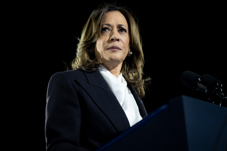 kamala-harris’-failed-$1.5b-campaign-‘disqualifies-her-forever’-from-running-for-president,-dem-megadonor-cries:-‘cannot-be-trusted-with-the-money’