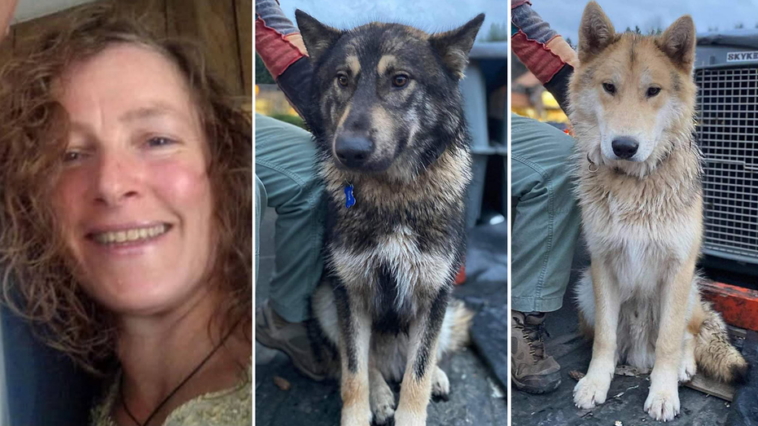 search-for-missing-oregon-hiker-and-her-dogs-suspended-over-‘weather-conditions,-likelihood-of-survivability’