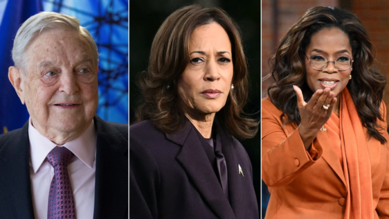 kamala-harris-campaign-aide-admits-she-never-surpassed-trump-in-internal-polls