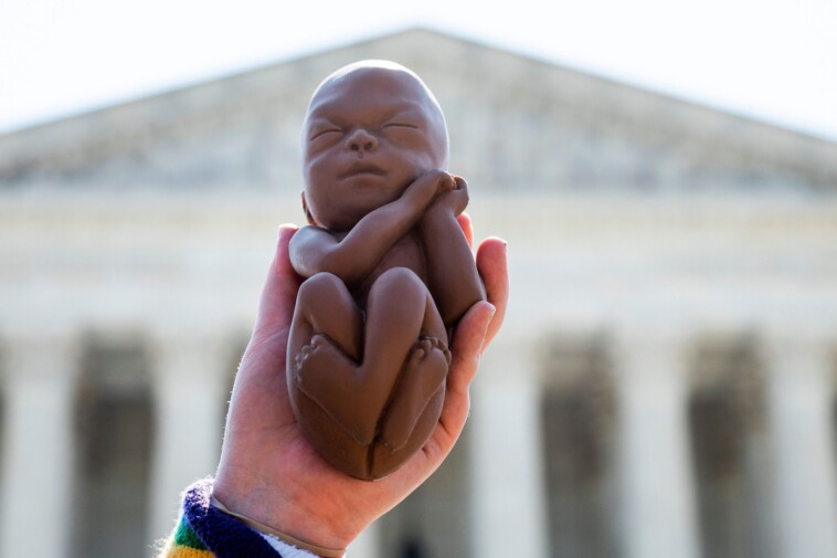 cdc-finds-abortions-of-unborn-babies-fell-2%-the-year-scotus-overturned-roe