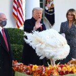 liberal-new-york-times-opinion-writer-turns-over-thanksgiving-column-to-trump-loving-brother