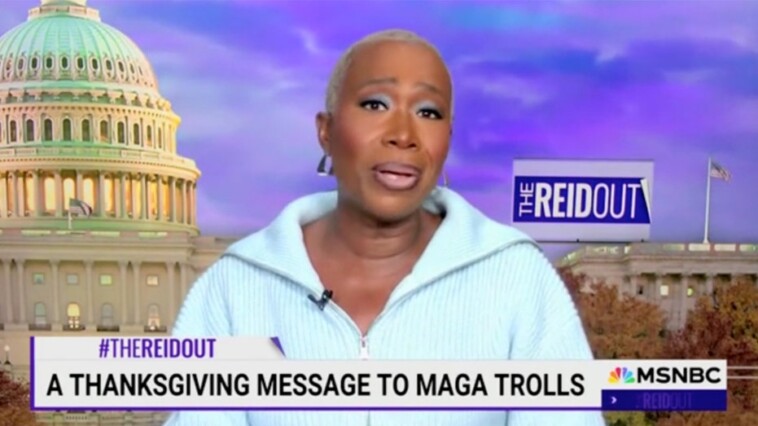 joy-reid-sends-message-to-republicans-ahead-of-thanksgiving:-‘make-your-own-dinner,-maga’