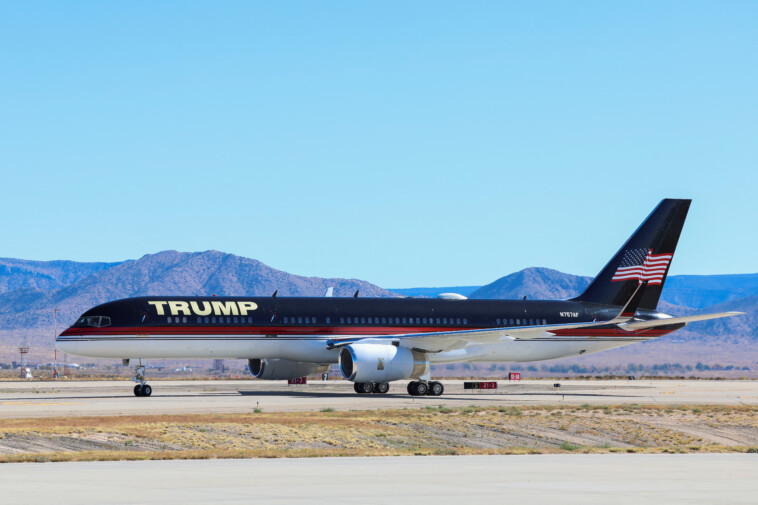 trump’s-granddaughter-kai-gives-rare-glimpse-inside-president-elect’s-private-‘trump-force-one’-boeing-757