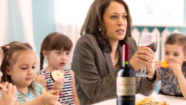 ‘don’t-let-anyone-take-your-power,’-tipsy-aunt-kamala-tells-confused-five-year-olds-at-thanksgiving-kids’-table