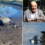 car-tied-to-wealthy-ny-couple-missing-for-44-years-pulled-from-murky-pond