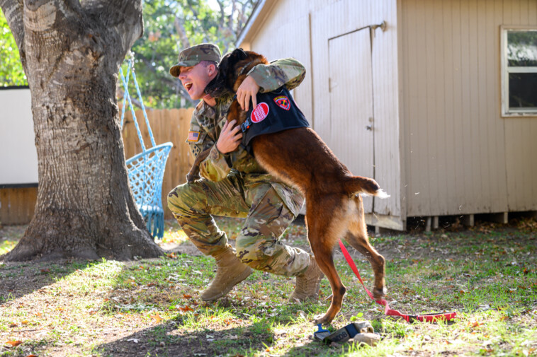 us-army-sgt.-reunited-with-military-dog-after-nearly-three-years-apart:-‘fills-my-heart’