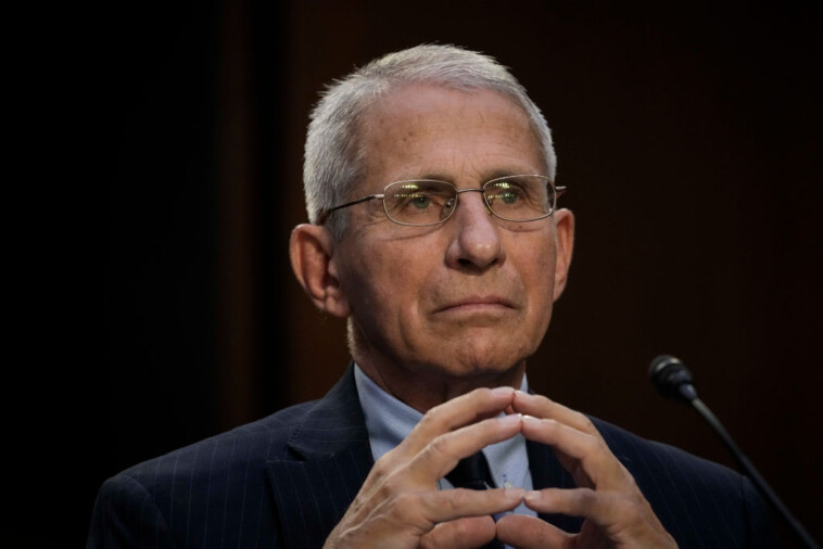 fauci-published-a-new-paper-on-covid-and-no-one-is-buying-it