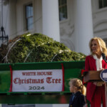 jill-biden-trashed-for-getting-white-house-christmas-tree-from-farm-impacted-by-hurricane-helene