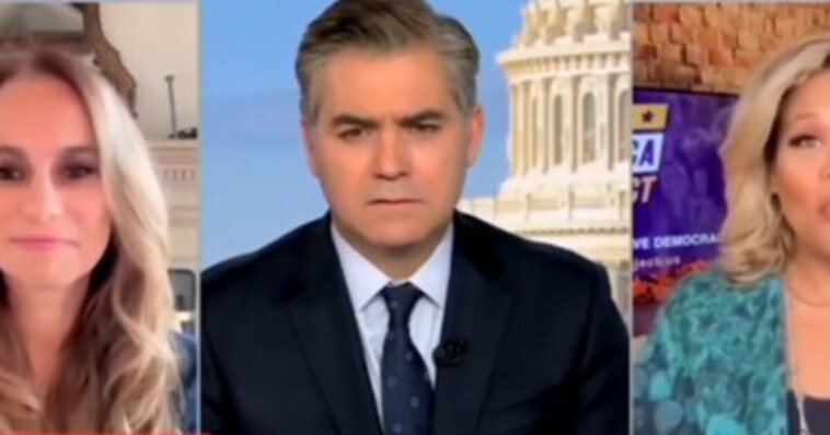 watch:-cnn-crybaby-jim-acosta-and-liberal-panelist-lose-their-minds-over-powerful-trump-musk-partnership-to-drain-the-swamp-and-save-america