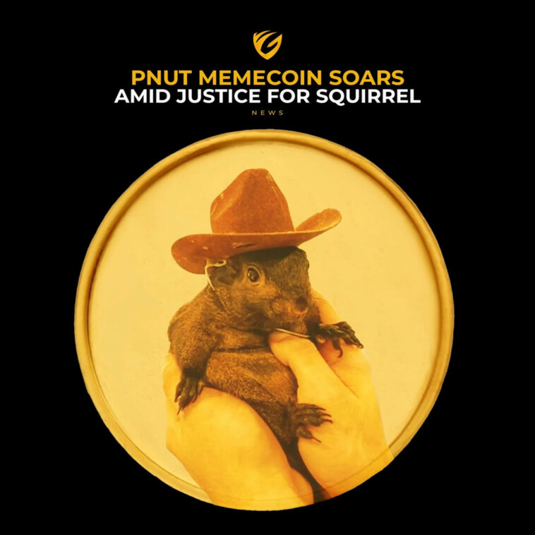 p’nut-the-squirrel’s-owner-starts-crypto-coin-after-feud-with-online-investors