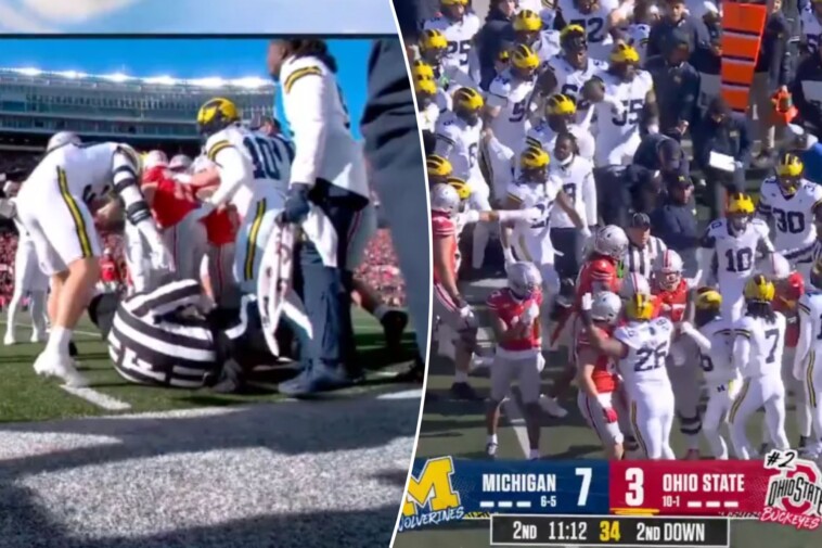 referee-taken-down-hard-during-ohio-state-michigan-sideline-skirmish