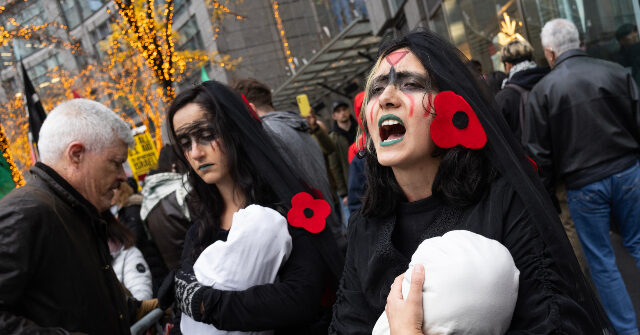 watch:-pro-palestinian-protesters-yell-at-black-friday-shoppers-near-nyc’s-rockefeller-christmas-tree