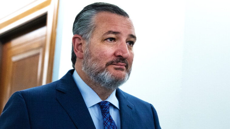 senator-cruz:-‘democrats-wanted-this-invasion-to-happen’-on-the-southern-border