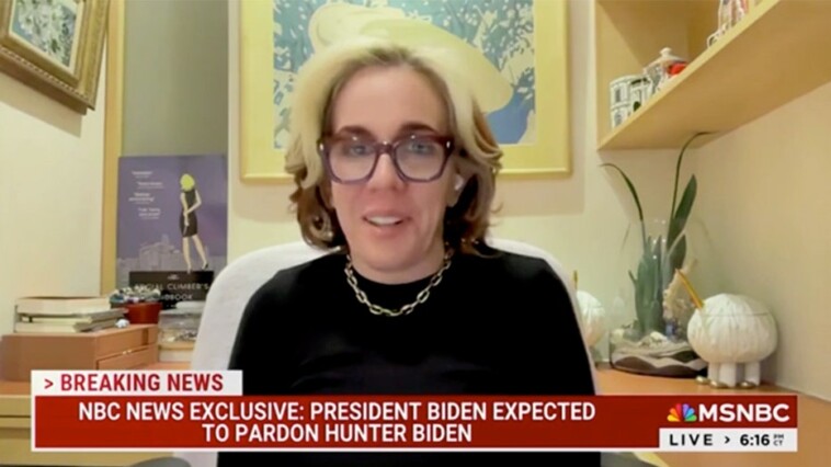 liberal-msnbc-contributor-speechless-over-hunter-biden-pardon:-‘i-have-to-process-it-…-i’m-sorry’