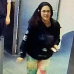 missing-photographer-hannah-kobayashi-filmed-crossing-into-mexico:-reports