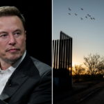 doge-chief-musk-bashes-massive-government-spending-on-illegal-immigrants:-‘boggles-the-mind!’