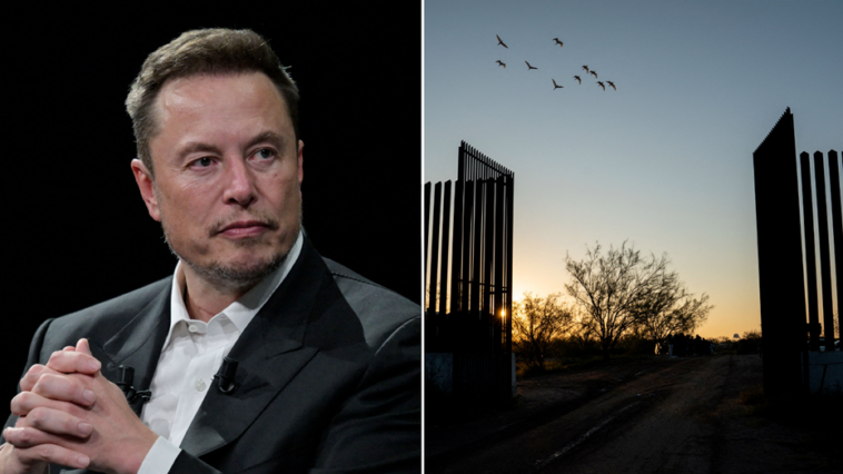 doge-chief-musk-bashes-massive-government-spending-on-illegal-immigrants:-‘boggles-the-mind!’